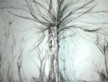 willow drawing 08-I.Metz